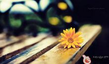 周末销售激励短信大全