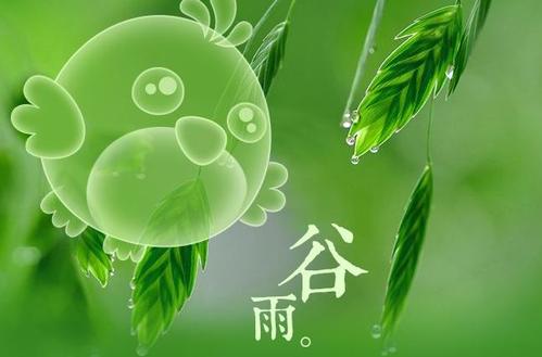 24节气谚语谷雨
