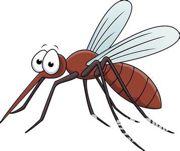 关于昆虫的谚语