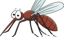 关于昆虫的谚语大全