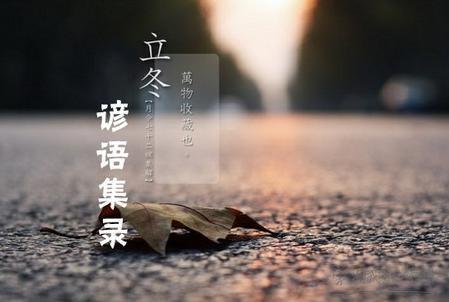 约24节气的谚语