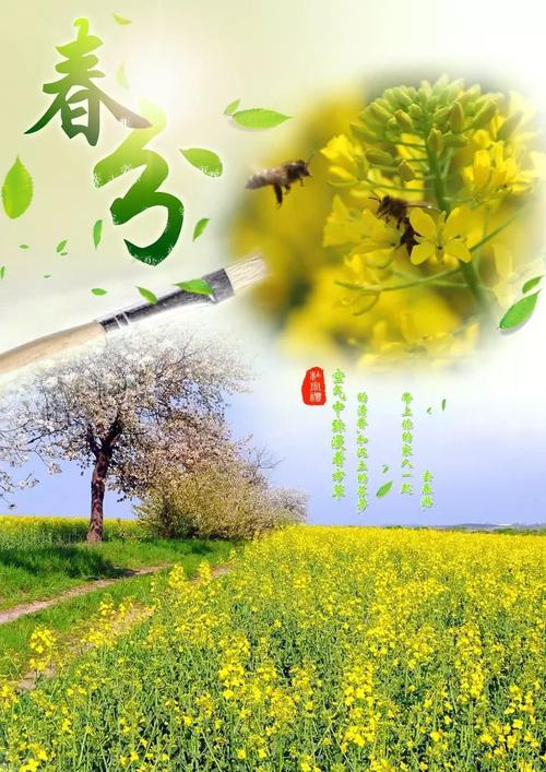 春分祝福
