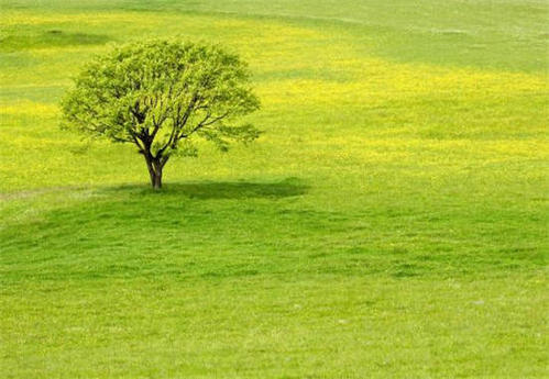 谈论朋友的酷圈