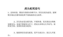 虎头蛇尾造句大全