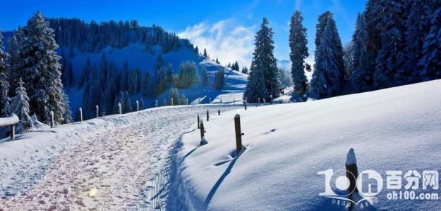 冬天的美丽句子