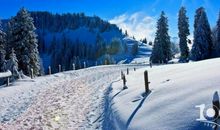 形容冬天优美句子