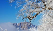 形容雨很大比喻句