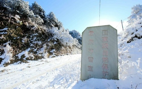 描述下雪的句子