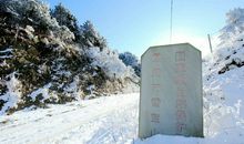 描写下雪了的句子