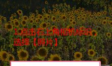 微信朋友圈无能为力的句子