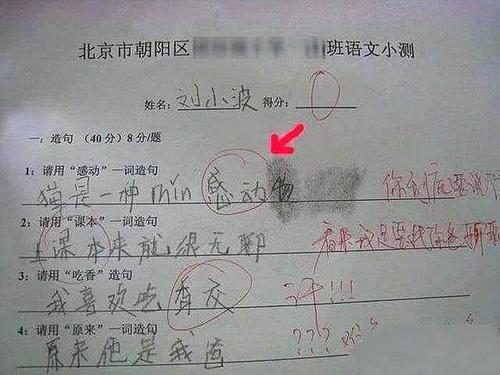 可以或可以在句子中使用