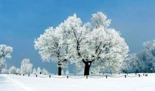 冬天有关的句子