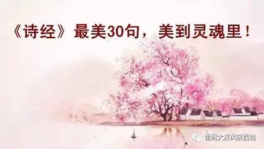 诗经中表达小姐的句子