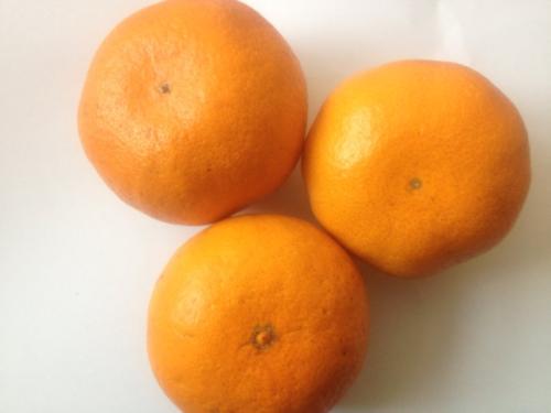 关于桔子的寓言