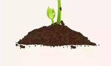 激励朋友圈的句子