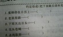 蜜蜂的眼睛歇后语