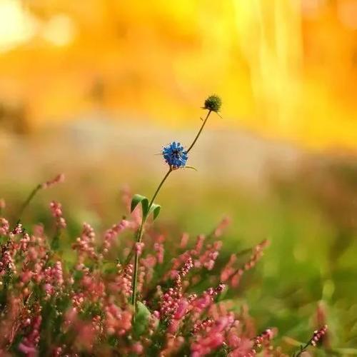 关于人生沧桑的句子