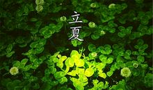 立夏有关的谚语