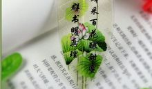 创造力英文名言