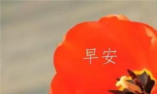 关心客户问候留言