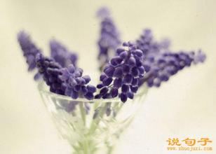 告诉我我的生日祝福