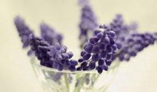 写给自己的生日愿望说说