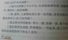 吹小号的天鹅好词好句