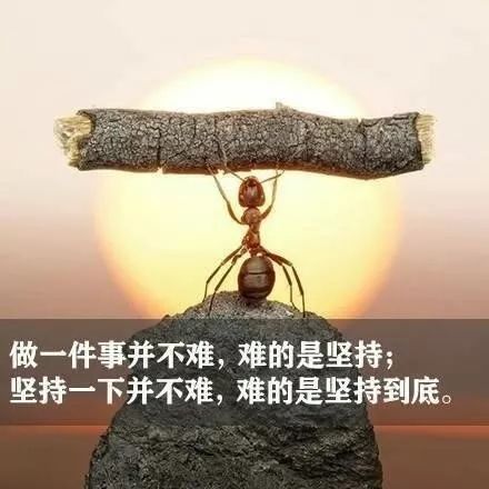 早上努力工作的句子