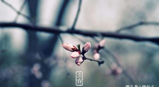 与利春有关的谚语