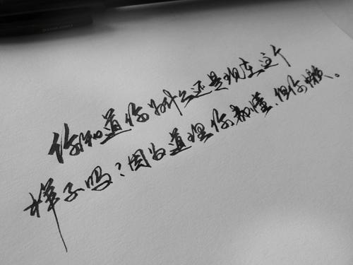 美丽的阳光句子