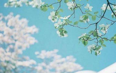 朋友的快乐一天，简单的祝福，快乐的日常句子