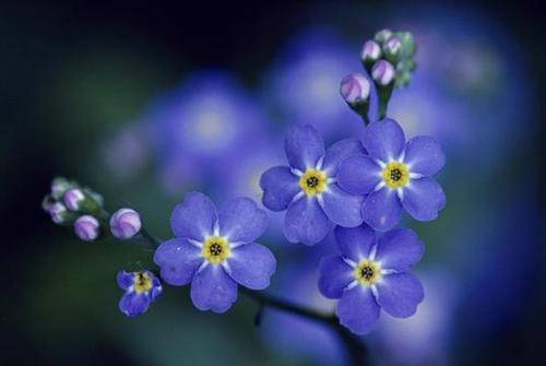 朋友开心每一天祝福简单开心每一句话2