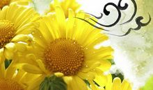 重阳节的祝福话语