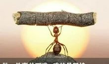 早安奋斗的句子