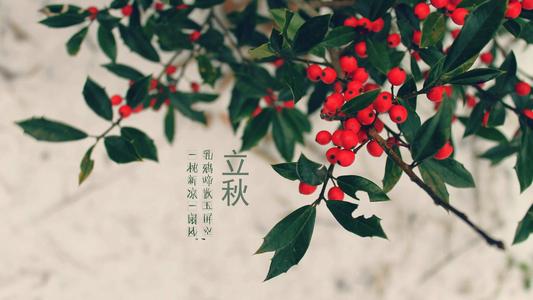 李秋谈笑话并将其发送给Moments