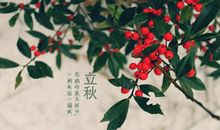 立秋搞笑说说发朋友圈