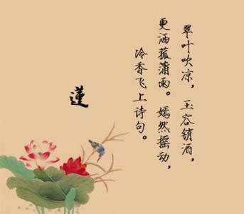 Tik Tok古代感伤句