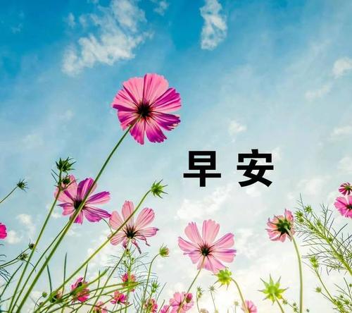 2020年朋友圈中最新的早安句子