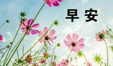 2020年最新发朋友圈早安的句子