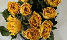 生日过得不开心的句子 生日当天不开心的说说