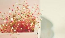 哄女朋友开心的话的句子 哄女朋友开心的语录