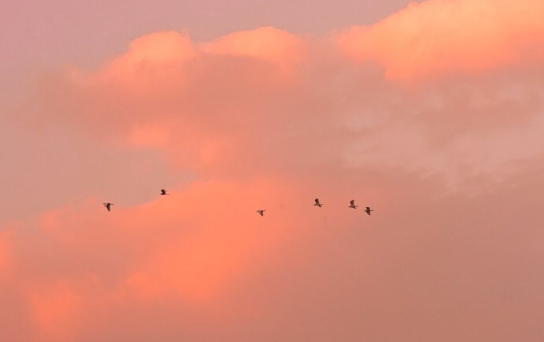 适合您的经典短句，适合您的励志短句，2020年