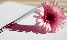 小幸福珍惜眼前的说说