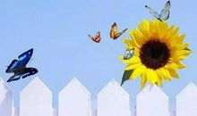 早安正能量短语