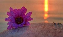 令人深思的哲理句子