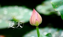 适合夏天的朋友圈句子