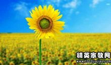 女人自信美丽格言