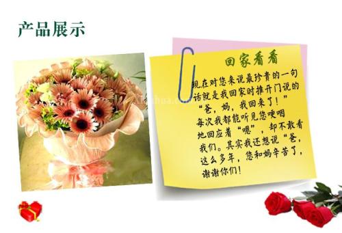 爸爸妈妈的新年祝福