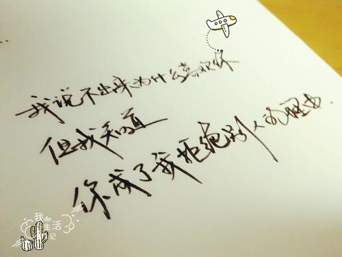 美丽的爱情短语节录