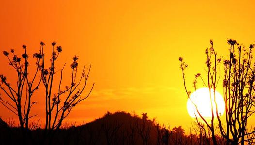 希望自己开心的句子希望自己开心的句子